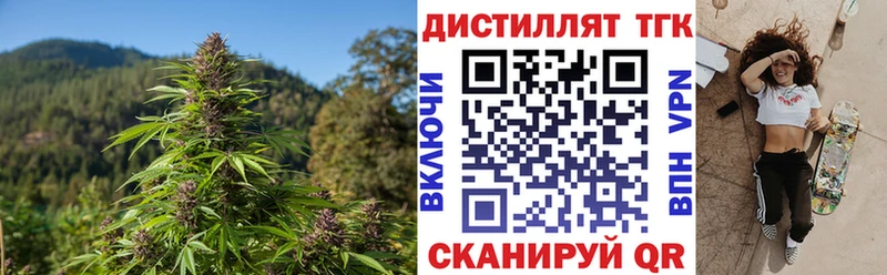 omg онион  Новопавловск  ТГК концентрат 